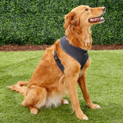 Show full view: Puppia Polyester Back Clip Dog Harness, Grey, X-Large: 22 to 32-in chest slide 3 of 9