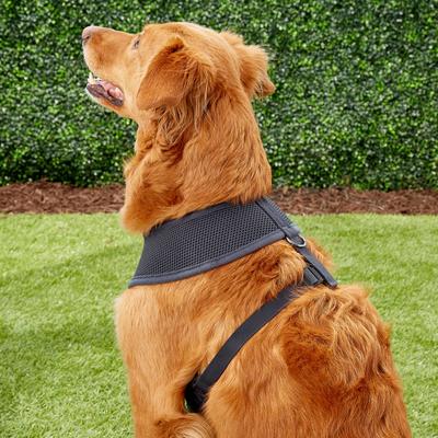 Show full view: Puppia Polyester Back Clip Dog Harness, Grey, X-Large: 22 to 32-in chest slide 4 of 9