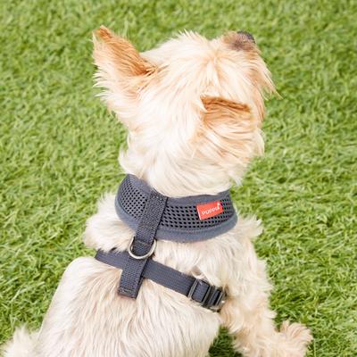 Show full view: Puppia Polyester Back Clip Dog Harness, Grey, X-Small slide 5 of 10