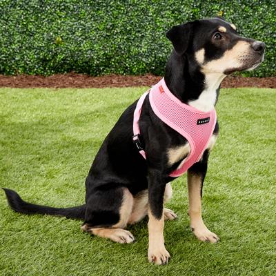 Show full view: Puppia Polyester Back Clip Dog Harness, Pink, Large: 20 to 29-in chest slide 3 of 9