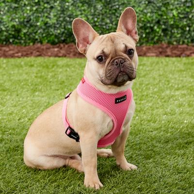 Show full view: Puppia Polyester Back Clip Dog Harness, Pink, Medium: 16 to 22-in chest slide 4 of 10