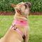 Show in main carousel: Puppia Polyester Back Clip Dog Harness, Pink, Medium: 16 to 22-in chest slide 5 of 10