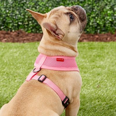 Show full view: Puppia Polyester Back Clip Dog Harness, Pink, Medium: 16 to 22-in chest slide 5 of 10