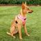Show in main carousel: Puppia Polyester Back Clip Dog Harness, Pink, Small: 12 to 18-in chest slide 3 of 9