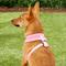 Show in main carousel: Puppia Polyester Back Clip Dog Harness, Pink, Small: 12 to 18-in chest slide 4 of 9
