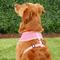 Show in main carousel: Puppia Polyester Back Clip Dog Harness, Pink, X-Large: 22 to 32-in chest slide 4 of 9