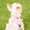 Show in main carousel: Puppia Polyester Back Clip Dog Harness, Pink, X-Small: 9 to 12.5-in chest slide 4 of 9