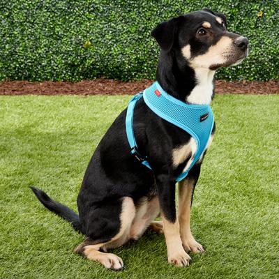 Show full view: Puppia Polyester Back Clip Dog Harness, Sky Blue, Large: 20 to 29-in chest slide 3 of 9