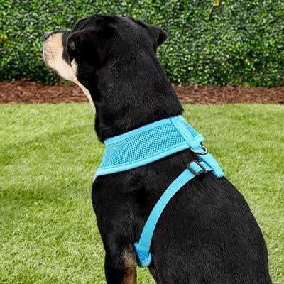 Show full view: Puppia Polyester Back Clip Dog Harness, Sky Blue, Large: 20 to 29-in chest slide 4 of 9
