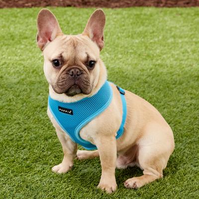 Show full view: Puppia Polyester Back Clip Dog Harness, Sky Blue, Medium: 16 to 22-in chest slide 3 of 9
