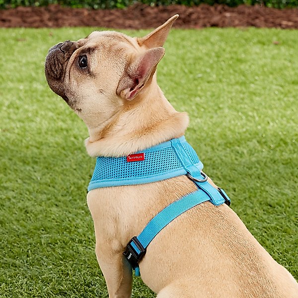 Puppia Polyester Back Clip Dog Harness