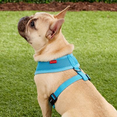 Show full view: Puppia Polyester Back Clip Dog Harness, Sky Blue, Medium: 16 to 22-in chest slide 4 of 9