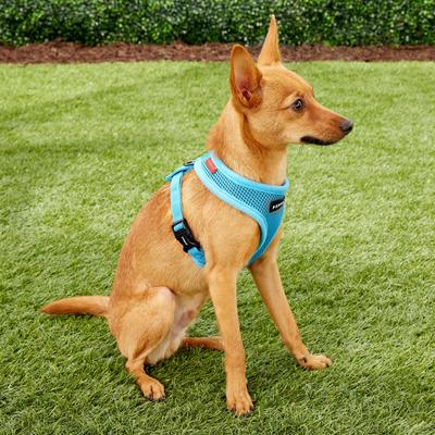 Show full view: Puppia Polyester Back Clip Dog Harness, Sky Blue, Small: 12 to 18-in chest slide 4 of 10