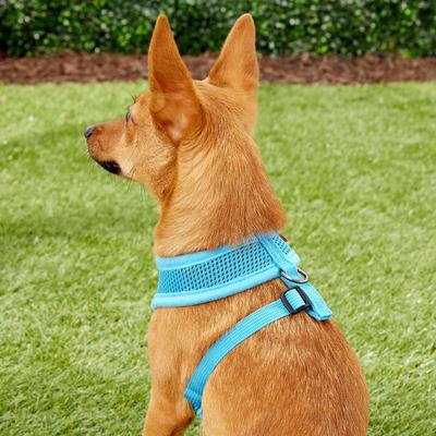 Show full view: Puppia Polyester Back Clip Dog Harness, Sky Blue, Small: 12 to 18-in chest slide 5 of 10