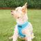 Show in main carousel: Puppia Polyester Back Clip Dog Harness, Sky Blue, X-Small slide 3 of 9