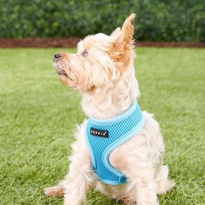 Show full view: Puppia Polyester Back Clip Dog Harness, Sky Blue, X-Small slide 3 of 9