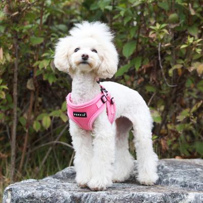 Show full view: Puppia Soft C Dog Harness, Pink, X-Large: 17.7 to 19.7-in chest slide 4 of 6