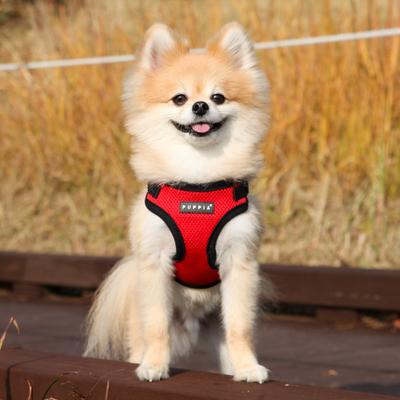 Show full view: Puppia Soft C Dog Harness, Red, Medium: 14.2 to 15.4-in chest slide 4 of 6