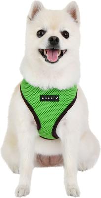 Show full view: Puppia Soft II Dog Harness, Green, X-Large: 23 to 32-in chest slide 3 of 5