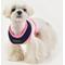 Show in main carousel: Puppia Soft II Dog Harness, Navy, Medium: 17 to 23-in chest slide 4 of 6