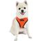 Show in main carousel: Puppia Soft II Dog Harness, Orange, Medium: 17 to 23-in chest slide 3 of 5