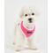 Show in main carousel: Puppia Soft II Dog Harness, Pink, Medium: 17 to 23-in chest slide 3 of 5