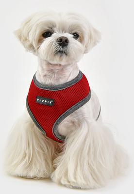 Show full view: Puppia Soft II Dog Harness, Wine, Large: 19 to 26-in chest slide 3 of 5