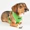 Show in main carousel: Puppia Soft Pro Dog Harness, Green, Medium: 17 to 23-in chest slide 4 of 6