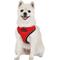 Show in main carousel: Puppia Soft Pro Dog Harness, Red, Small: 13 to 18-in chest slide 4 of 6