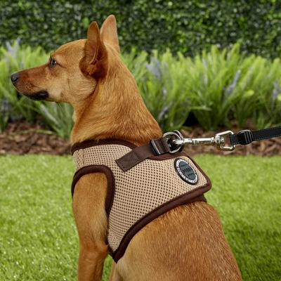 Show full view: Puppia Vest Polyester Step In Back Clip Dog Harness, Beige, Medium slide 5 of 11