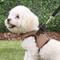 Show in main carousel: Puppia Vest Polyester Step In Back Clip Dog Harness, Beige, Small slide 6 of 12