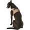 Show in main carousel: Puppia Vest Polyester Step In Back Clip Dog Harness, Beige, X-Large: 20.4-in chest slide 5 of 12