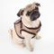 Show in main carousel: Puppia Vest Polyester Step In Back Clip Dog Harness, Beige, XX-Large: 23.6 to 24.4-in chest slide 5 of 9