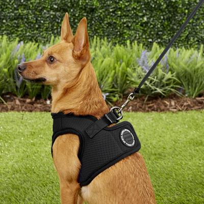 Show full view: Puppia Vest Polyester Step In Back Clip Dog Harness, Black, Medium slide 5 of 11