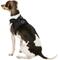 Show in main carousel: Puppia Vest Polyester Step In Back Clip Dog Harness, Black, Small slide 4 of 11