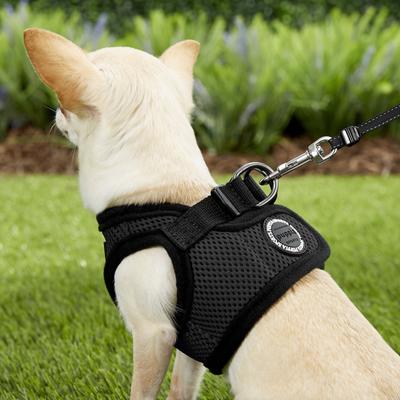 Show full view: Puppia Vest Polyester Step In Back Clip Dog Harness, Black, X-Small slide 5 of 11