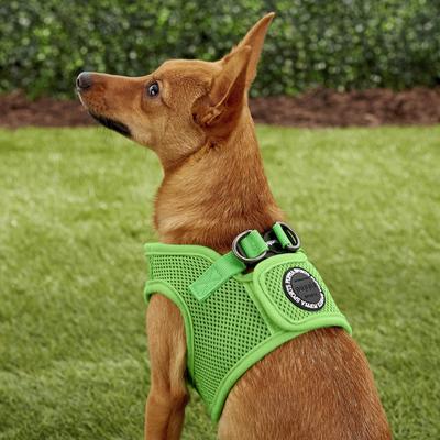 Show full view: Puppia Vest Polyester Step In Back Clip Dog Harness, Green, Medium: 15.4-in chest slide 5 of 11