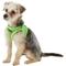 Show in main carousel: Puppia Vest Polyester Step In Back Clip Dog Harness, Green, Small: 12.6-in chest slide 3 of 11