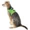 Show in main carousel: Puppia Vest Polyester Step In Back Clip Dog Harness, Green, Small: 12.6-in chest slide 4 of 11