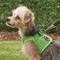 Show in main carousel: Puppia Vest Polyester Step In Back Clip Dog Harness, Green, Small: 12.6-in chest slide 5 of 11
