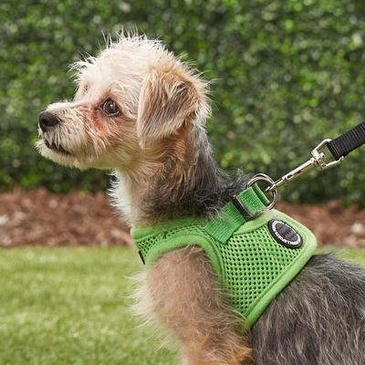 Show full view: Puppia Vest Polyester Step In Back Clip Dog Harness, Green, Small: 12.6-in chest slide 5 of 11