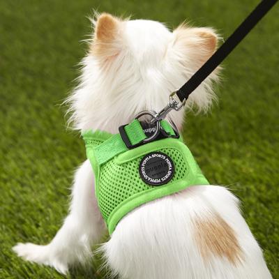 Show full view: Puppia Vest Polyester Step In Back Clip Dog Harness, Green, X-Small slide 5 of 11