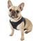Show in main carousel: Puppia Vest Polyester Step In Back Clip Dog Harness, Grey, Large: 16.9-in chest slide 3 of 11