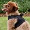 Show in main carousel: Puppia Vest Polyester Step In Back Clip Dog Harness, Grey, Large: 16.9-in chest slide 5 of 11