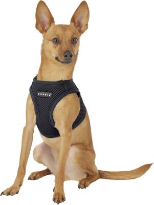 Show full view: Puppia Vest Polyester Step In Back Clip Dog Harness, Grey, Medium slide 4 of 12