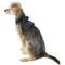 Show in main carousel: Puppia Vest Polyester Step In Back Clip Dog Harness, Grey, Small slide 5 of 12