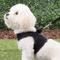 Show in main carousel: Puppia Vest Polyester Step In Back Clip Dog Harness, Grey, Small slide 6 of 12