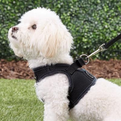 Show full view: Puppia Vest Polyester Step In Back Clip Dog Harness, Grey, Small slide 6 of 12