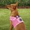 Show in main carousel: Puppia Vest Polyester Step In Back Clip Dog Harness, Pink, Medium: 15.4-in chest slide 6 of 12