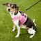 Show in main carousel: Puppia Vest Polyester Step In Back Clip Dog Harness, Pink, Small slide 5 of 11